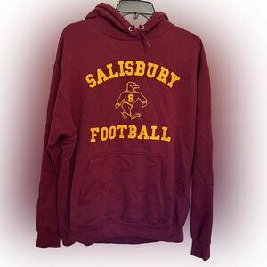 Salisbury University Sea Gulls Football Port & Company Hoodie, Large